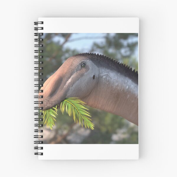 Item preview, Diplodocus close up designed and sold by Paleo-parallax.