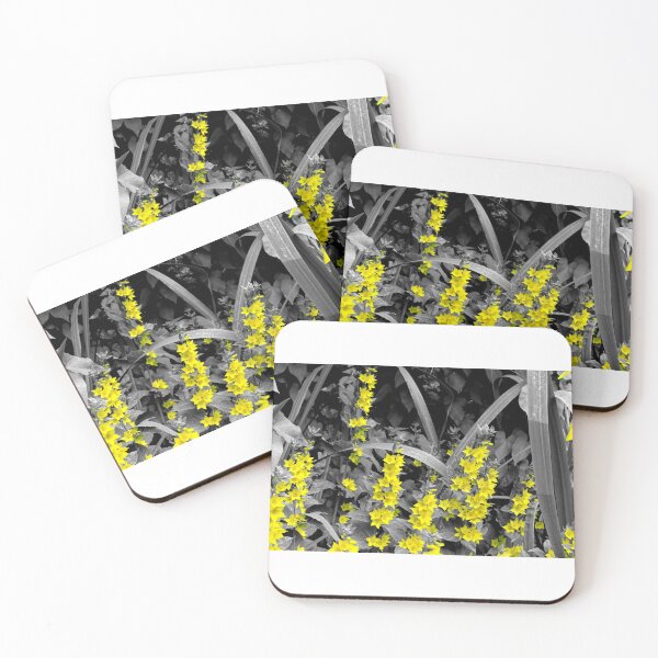 Item preview, Dotted Loosestrife is also known as Lysimachia punctata L. designed and sold by PicsByTony.