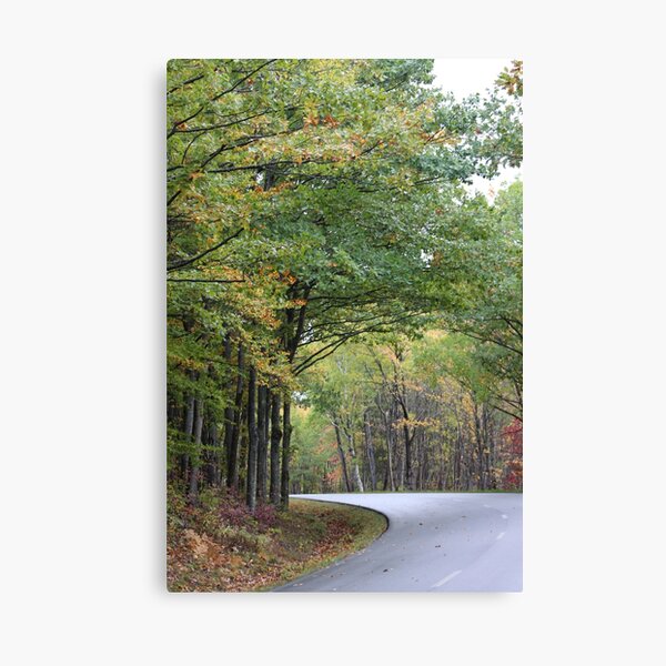 Nature in curves Canvas Print