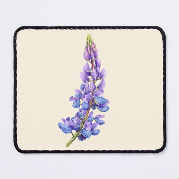 Item preview, Purple and blue sundial lupine Scientific Illustration designed and sold by Nick Garnhart.