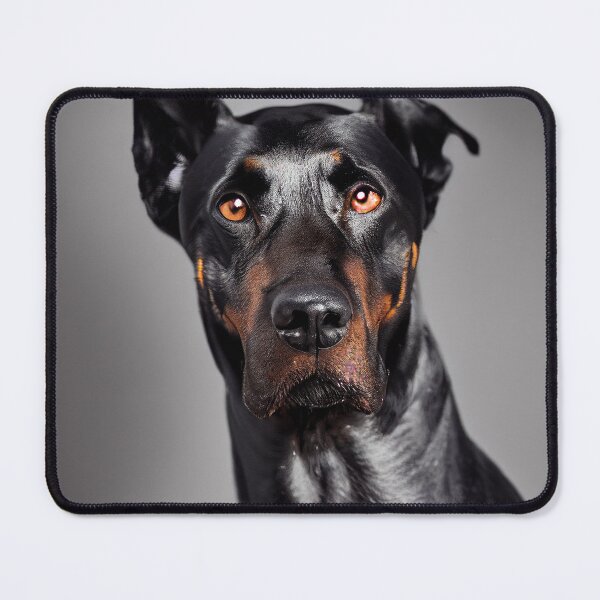 Item preview, Noble Protector, dobermann portrait designed and sold by EmeraldeaArt.