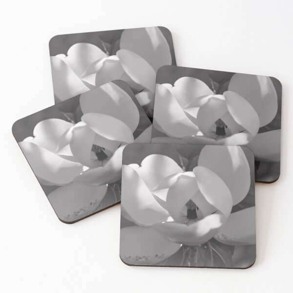 Item preview, Magnolia in Blossom Black and White designed and sold by Zina Stromberg.