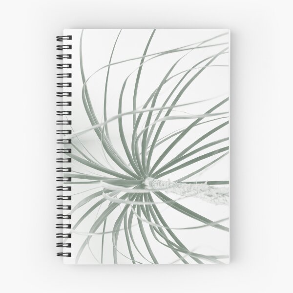 Item preview, Ponytail palm foliage on white designed and sold by Imladris01.
