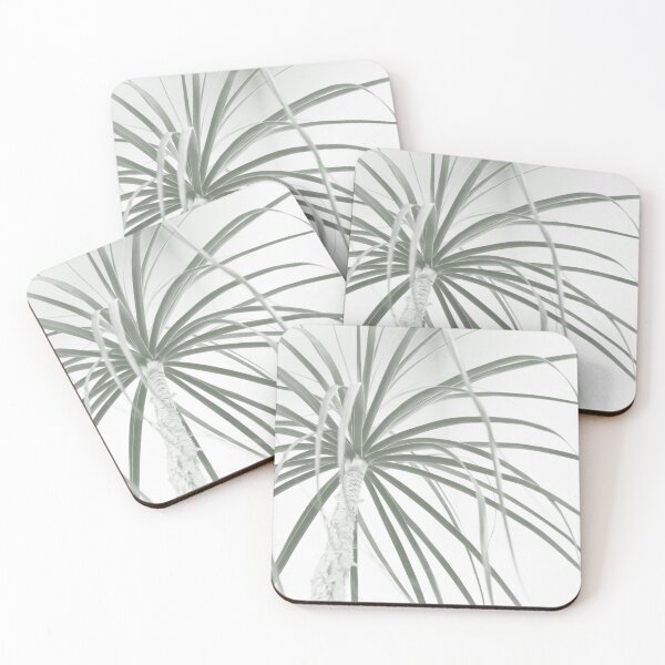 Item preview, Ponytail palm foliage on white designed and sold by Imladris01.