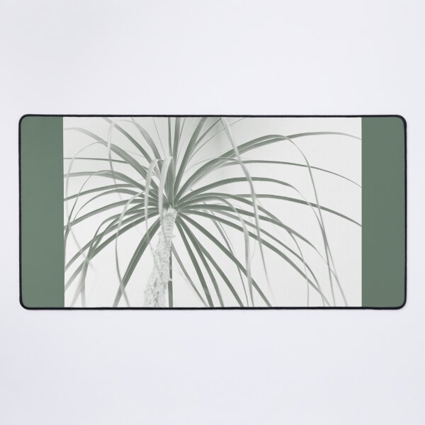 Item preview, Ponytail palm foliage on white designed and sold by Imladris01.