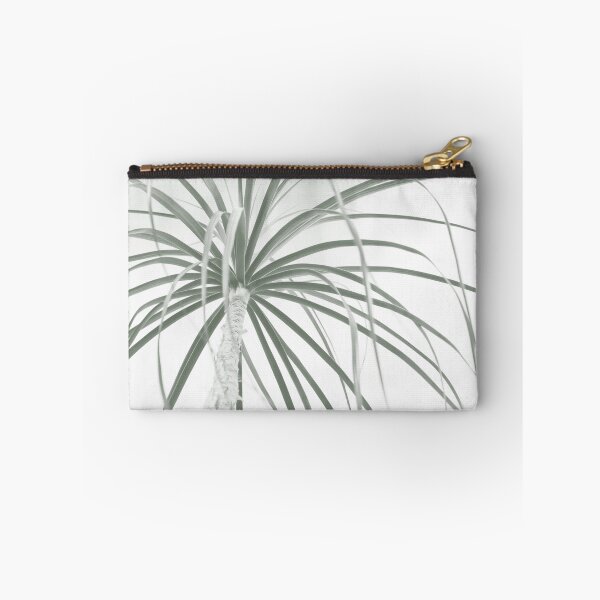 Item preview, Ponytail palm foliage on white designed and sold by Imladris01.