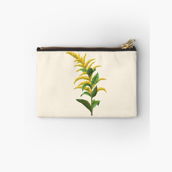 Item preview, Wrinkleaf Goldenrod Rough-stemmed Goldenrod Scientific Illustration designed and sold by Nick Garnhart.