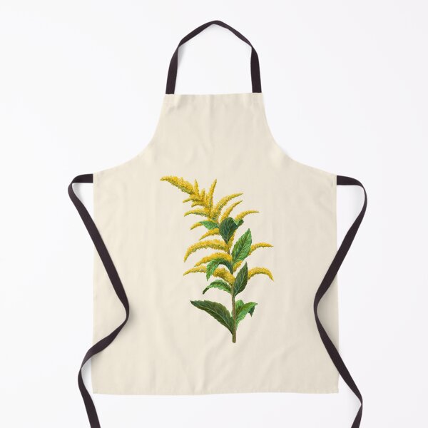 Item preview, Wrinkleaf Goldenrod Rough-stemmed Goldenrod Scientific Illustration designed and sold by Nick Garnhart.