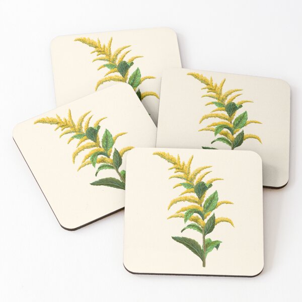 Item preview, Wrinkleaf Goldenrod Rough-stemmed Goldenrod Scientific Illustration designed and sold by Nick Garnhart.