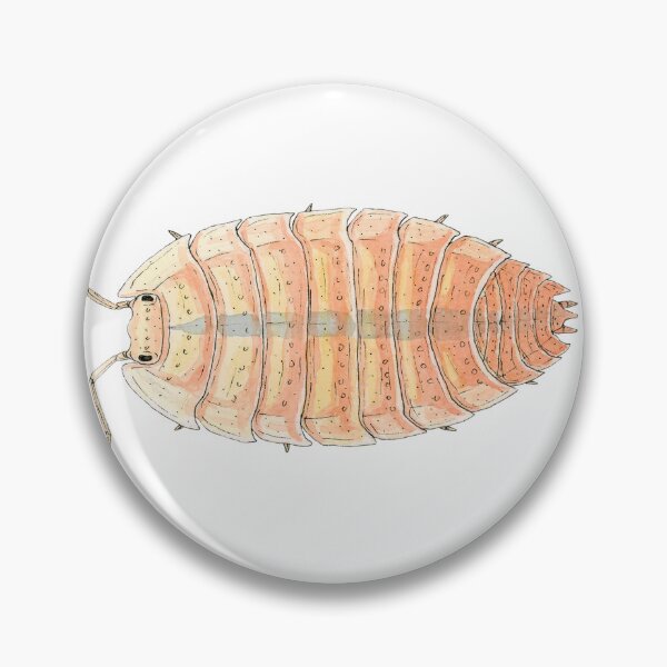 Item preview, Porcellio scaber "Orange Embers" Isopod designed and sold by paintedpansy.