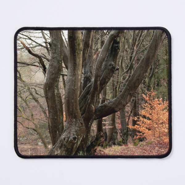 Item preview, Twisted Trees designed and sold by J-Brezy.