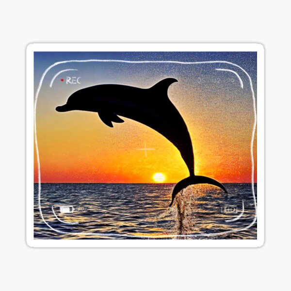 Dolphin Wallpaper Images  Free Download on Freepik