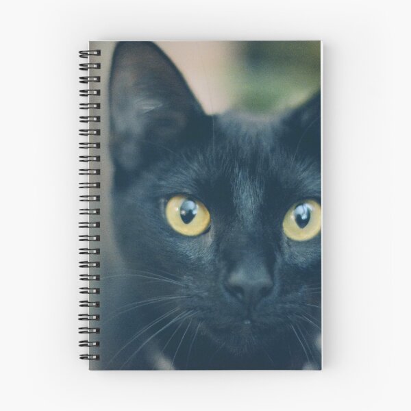 Item preview, Cat stare. designed and sold by abochic.