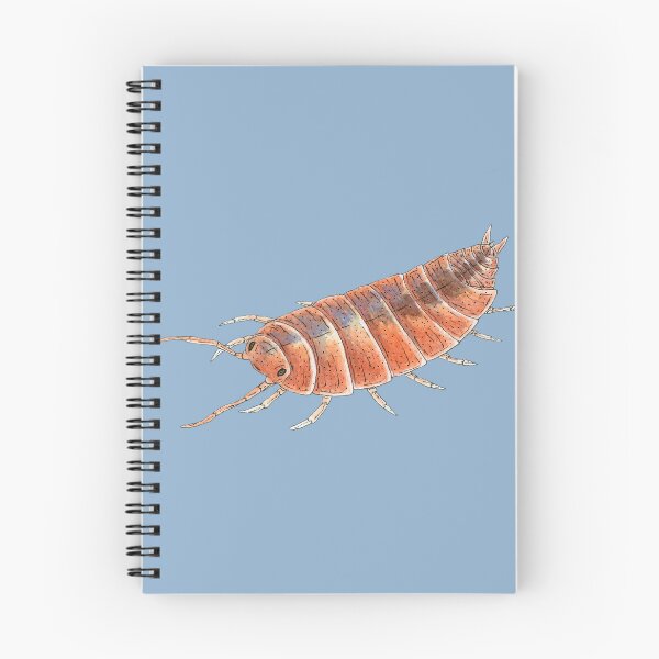 Item preview, Porcellionides pruinosus "Orange" Isopod designed and sold by paintedpansy.