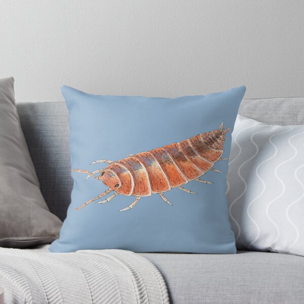 Item preview, Porcellionides pruinosus "Orange" Isopod designed and sold by paintedpansy.