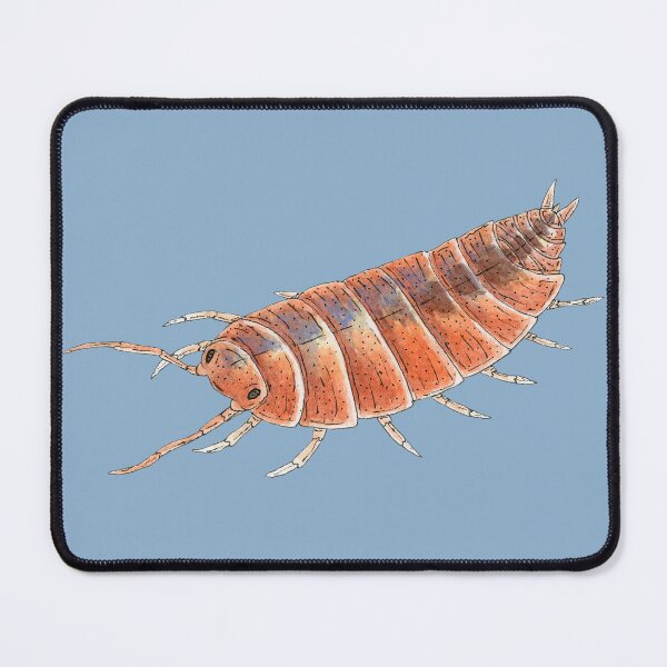 Item preview, Porcellionides pruinosus "Orange" Isopod designed and sold by paintedpansy.