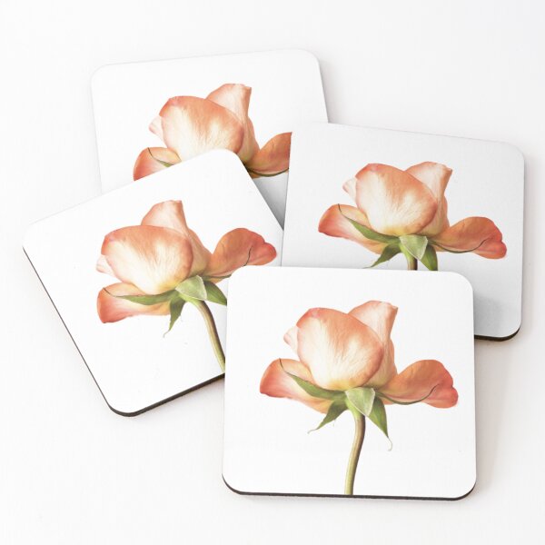 Item preview, Natural flower  designed and sold by Tashulovart.