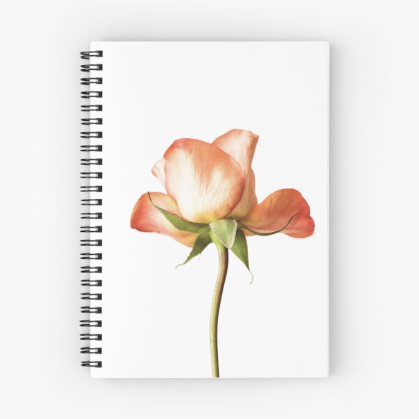 Item preview, Natural flower  designed and sold by Tashulovart.