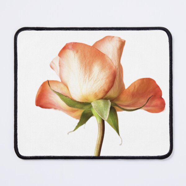 Item preview, Natural flower  designed and sold by Tashulovart.