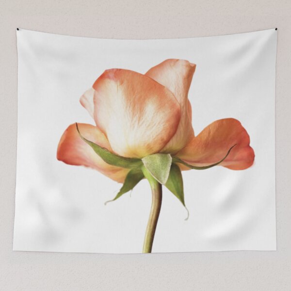 Item preview, Natural flower  designed and sold by Tashulovart.