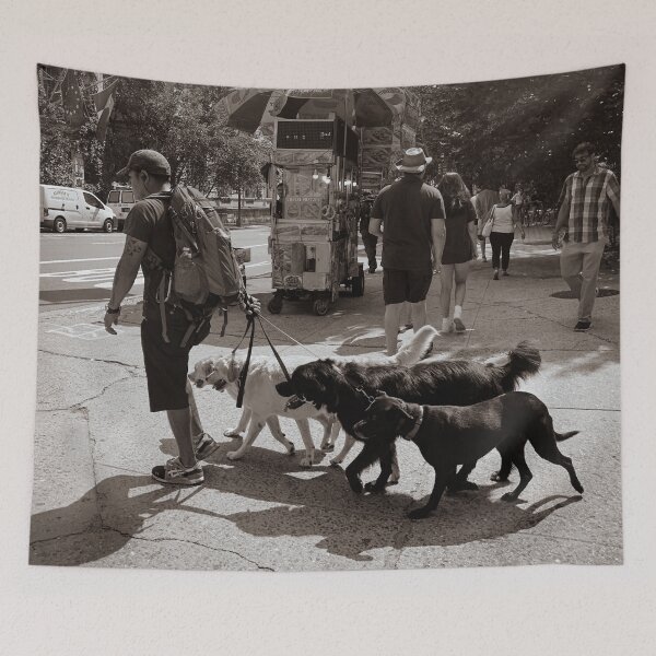 Item preview, Dog Sitter Central Park New York City designed and sold by eleonoraingrid.