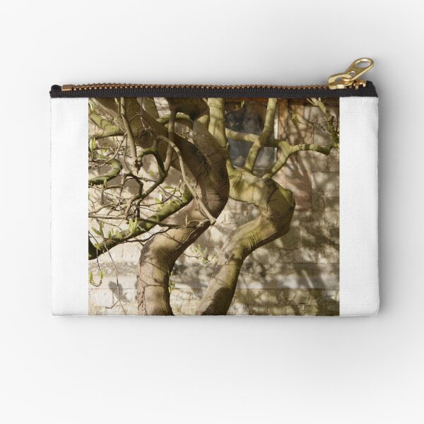 Item preview, Bare magnolia against church stonework. designed and sold by katiecornet.