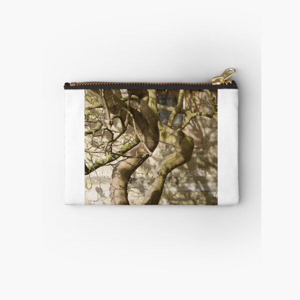 Item preview, Bare magnolia against church stonework. designed and sold by kkkkatieartist .