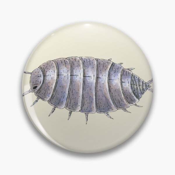 Item preview, Porcellionides pruinosus "powder blue" Isopod designed and sold by paintedpansy.