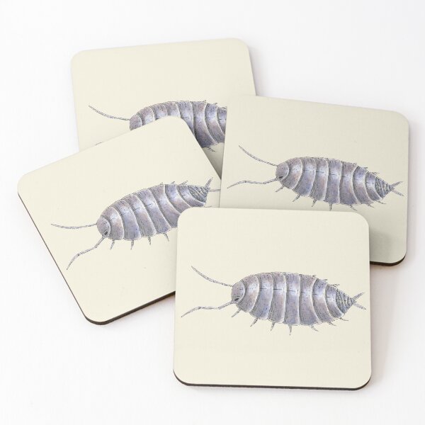 Item preview, Porcellionides pruinosus "powder blue" Isopod designed and sold by paintedpansy.