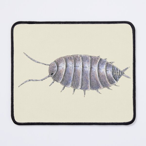 Item preview, Porcellionides pruinosus "powder blue" Isopod designed and sold by paintedpansy.