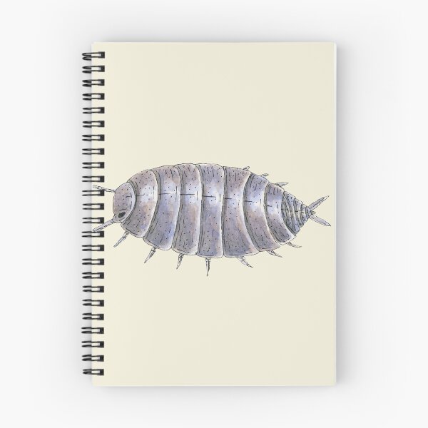 Item preview, Porcellionides pruinosus "powder blue" Isopod designed and sold by paintedpansy.