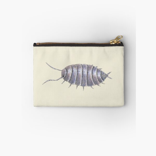 Item preview, Porcellionides pruinosus "powder blue" Isopod designed and sold by paintedpansy.