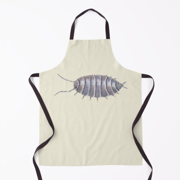 Item preview, Porcellionides pruinosus "powder blue" Isopod designed and sold by paintedpansy.