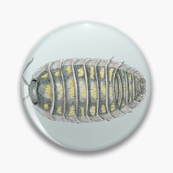 Item preview, Armadillidium depressum Isopod designed and sold by paintedpansy.