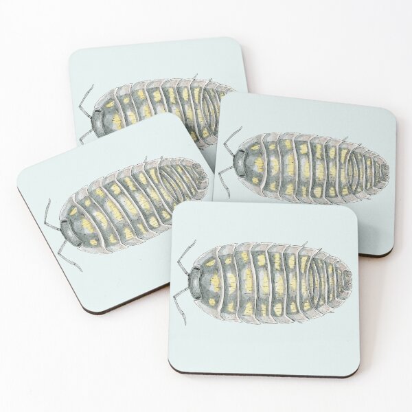 Item preview, Armadillidium depressum Isopod designed and sold by paintedpansy.
