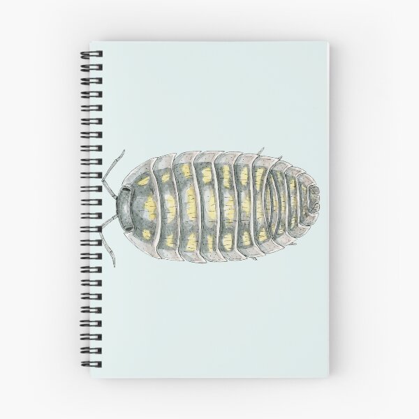 Item preview, Armadillidium depressum Isopod designed and sold by paintedpansy.