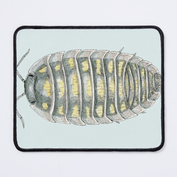 Item preview, Armadillidium depressum Isopod designed and sold by paintedpansy.