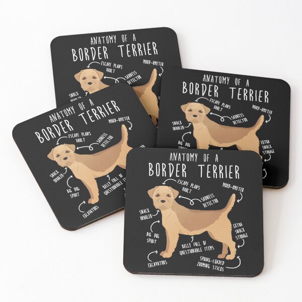 Item preview, Border Terrier Wheaten Dog Anatomy designed and sold by Clara Hollins.