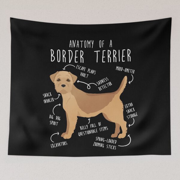 Item preview, Border Terrier Wheaten Dog Anatomy designed and sold by Clara Hollins.