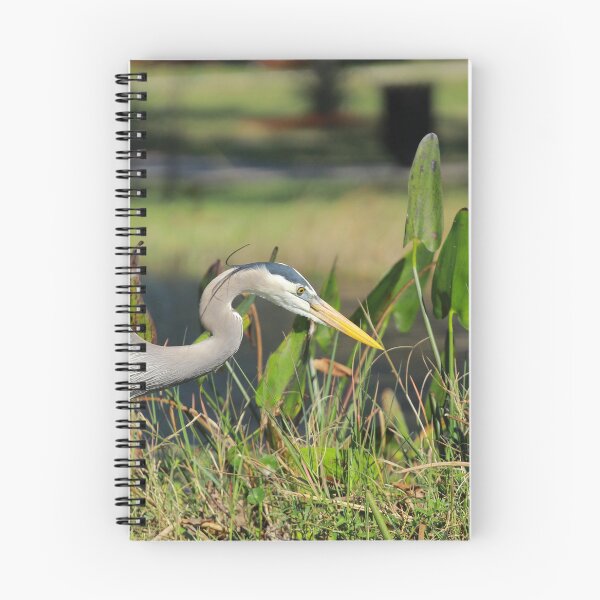 Item preview, Great Blue Heron designed and sold by Howard S Taylor.