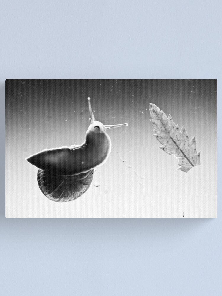 Alternate view of Mouth Canvas Print
