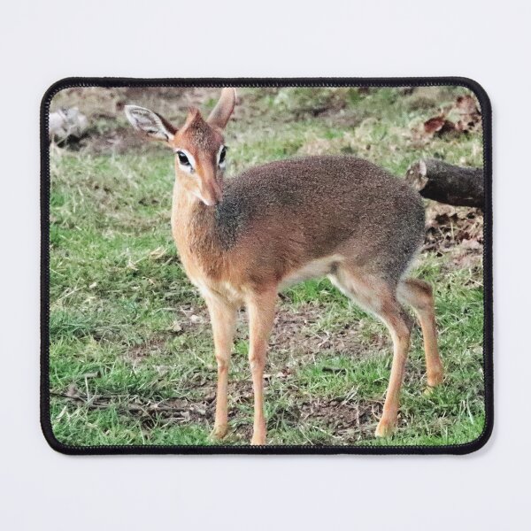 Item preview, Dik Dik designed and sold by Ladymoose.