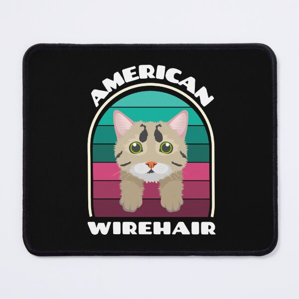 Item preview, American Wirehair designed and sold by shopaminute.