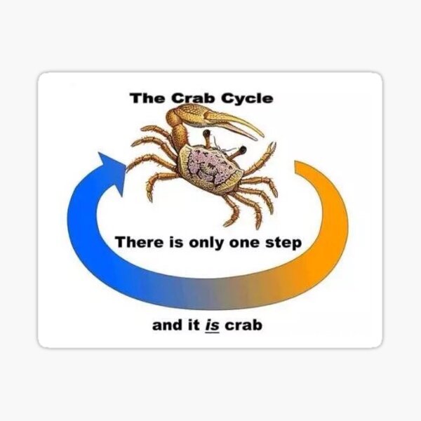 the crab cycle Sticker