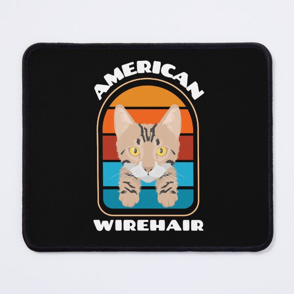 Item preview, American Wirehair designed and sold by shopaminute.