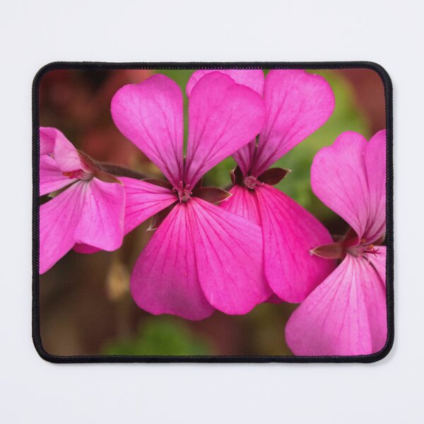 Item preview, Pink Geranium designed and sold by polyhymnia14.