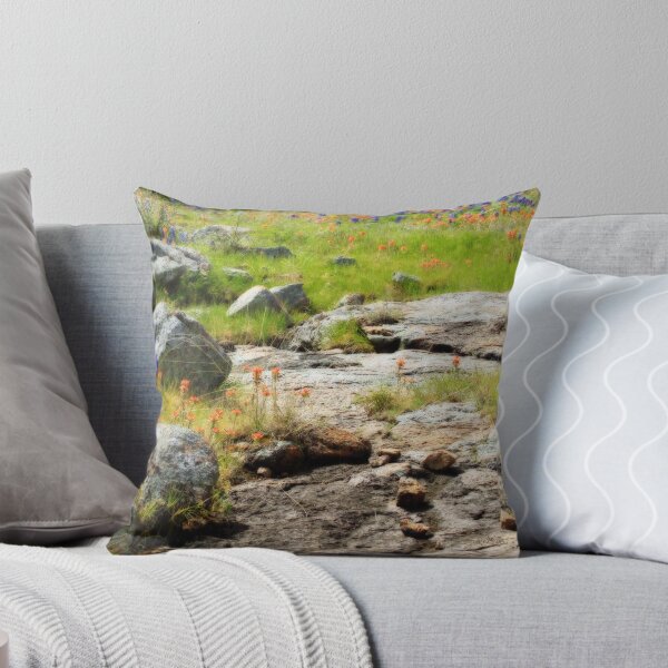 Item preview, Rocks Indian Paintbrush and Bluebonnets  designed and sold by Robert Armendariz.