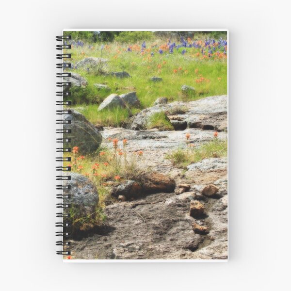 Item preview, Rocks Indian Paintbrush and Bluebonnets  designed and sold by Robert Armendariz.