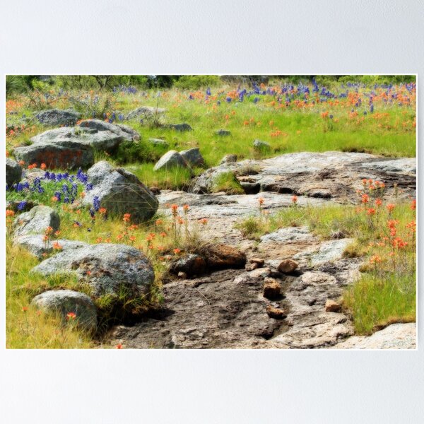 Item preview, Rocks Indian Paintbrush and Bluebonnets  designed and sold by Robert Armendariz.