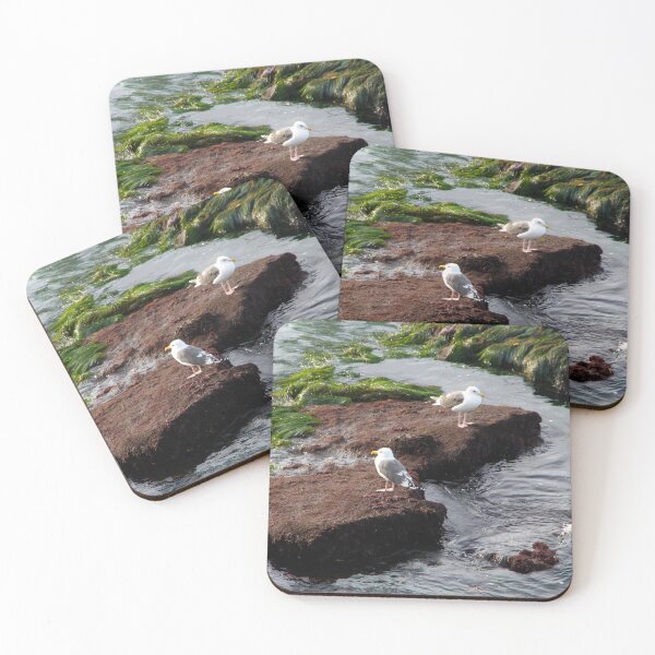 Item preview, Seagulls and Seaweed designed and sold by heatherfriedman.